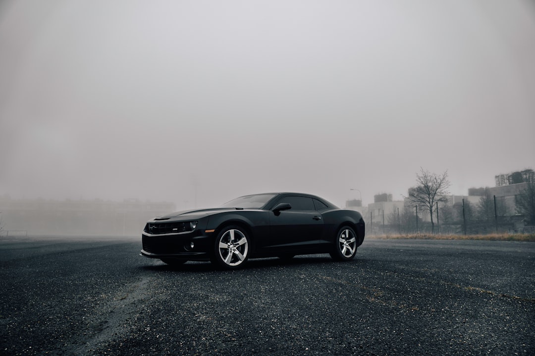 Unlocking the Power of Black Prime: A Guide to Maximizing Your Benefits